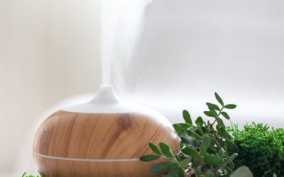 Best Essential Oil Diffuser for Large Space