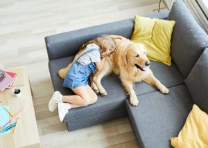 What Essential Oils are Safe for Dogs and cats in homes