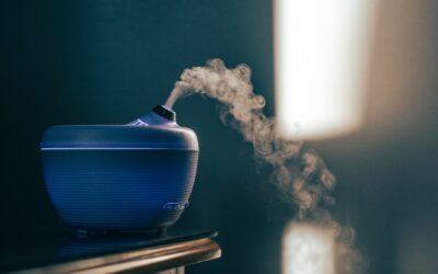 Which of the Top Rated Essential Oil Diffusers Should You Buy?
